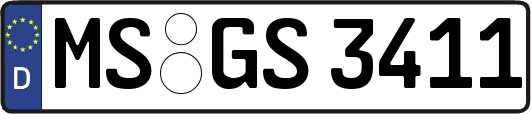 MS-GS3411