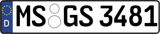 MS-GS3481