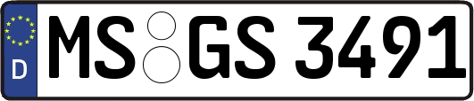 MS-GS3491