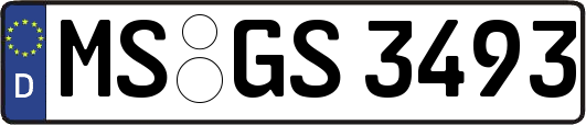 MS-GS3493