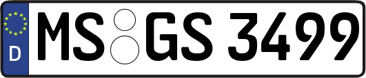 MS-GS3499
