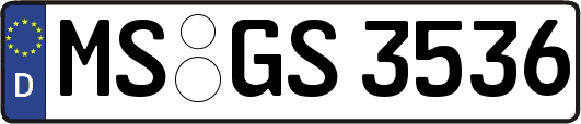 MS-GS3536
