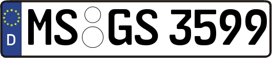 MS-GS3599