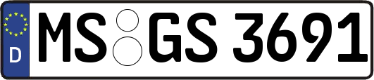 MS-GS3691