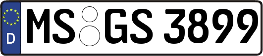 MS-GS3899