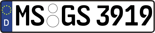 MS-GS3919