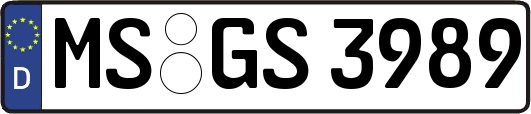 MS-GS3989