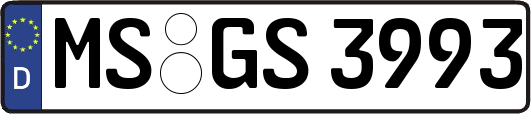 MS-GS3993