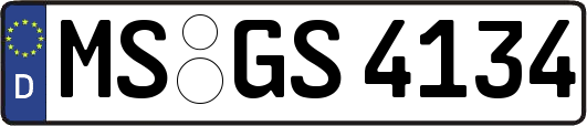 MS-GS4134