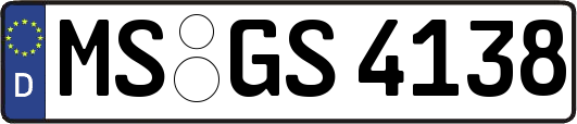 MS-GS4138
