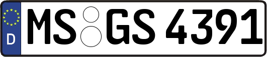 MS-GS4391