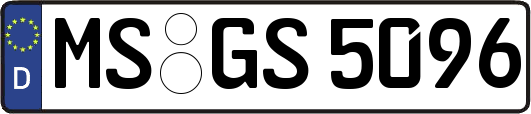 MS-GS5096