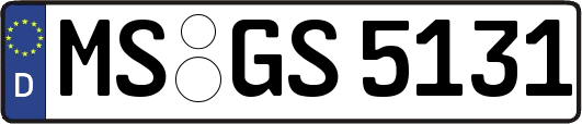 MS-GS5131