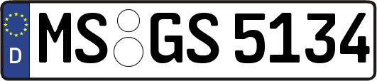 MS-GS5134