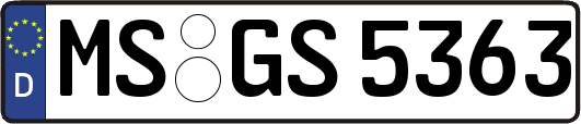 MS-GS5363
