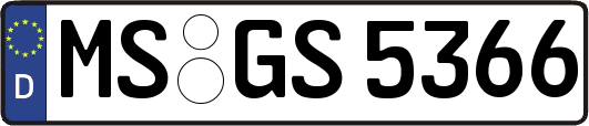 MS-GS5366
