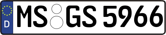 MS-GS5966