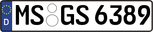 MS-GS6389