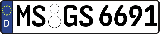 MS-GS6691