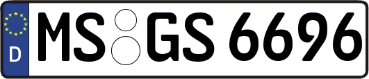MS-GS6696