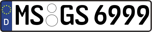 MS-GS6999