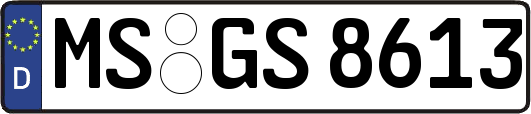 MS-GS8613