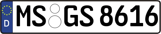 MS-GS8616