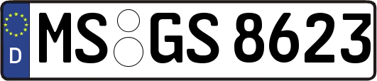 MS-GS8623