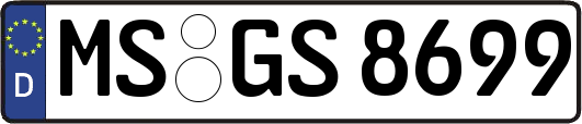 MS-GS8699