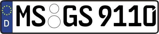 MS-GS9110
