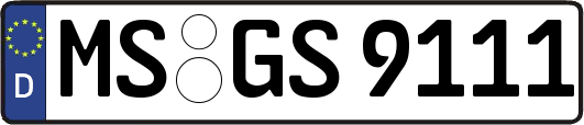 MS-GS9111
