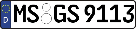 MS-GS9113