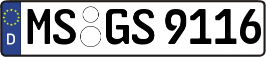 MS-GS9116