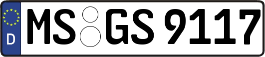 MS-GS9117