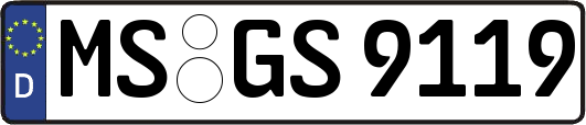 MS-GS9119