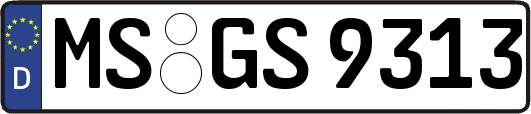MS-GS9313