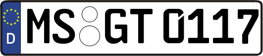 MS-GT0117