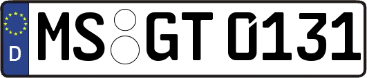MS-GT0131