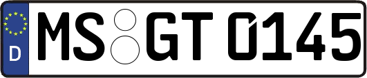 MS-GT0145