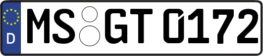 MS-GT0172