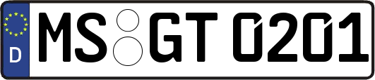 MS-GT0201
