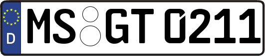 MS-GT0211