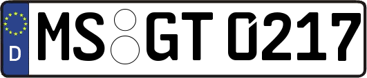MS-GT0217