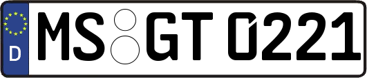 MS-GT0221