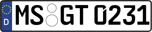 MS-GT0231