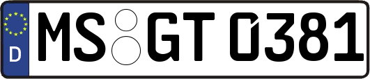 MS-GT0381