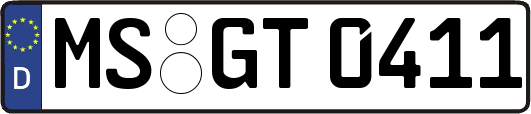 MS-GT0411