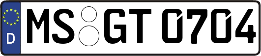 MS-GT0704
