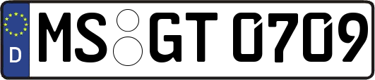 MS-GT0709