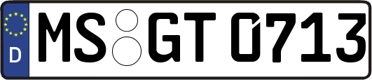 MS-GT0713